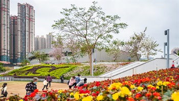 The planting bed brightens up the open area with colourful blooming flowers.